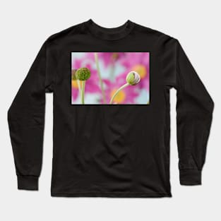 Anemone hupehensis var. japonica  &#39;Pamina&#39;   AGM  Japanese anemone  Flower bud and seedhead Long Sleeve T-Shirt